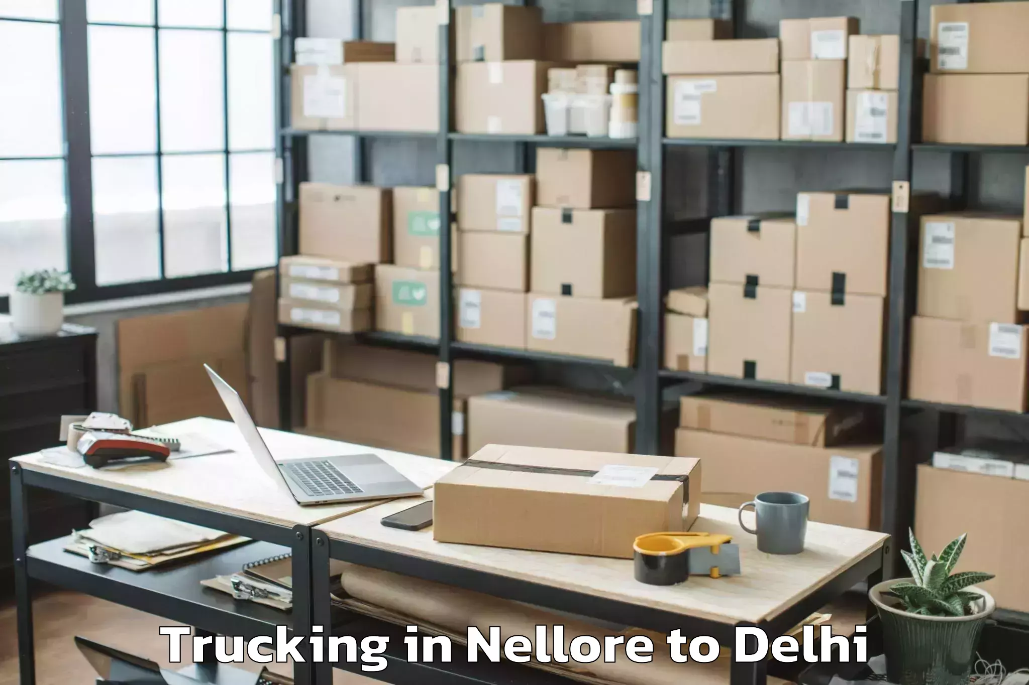 Easy Nellore to Sarojini Nagar Trucking Booking